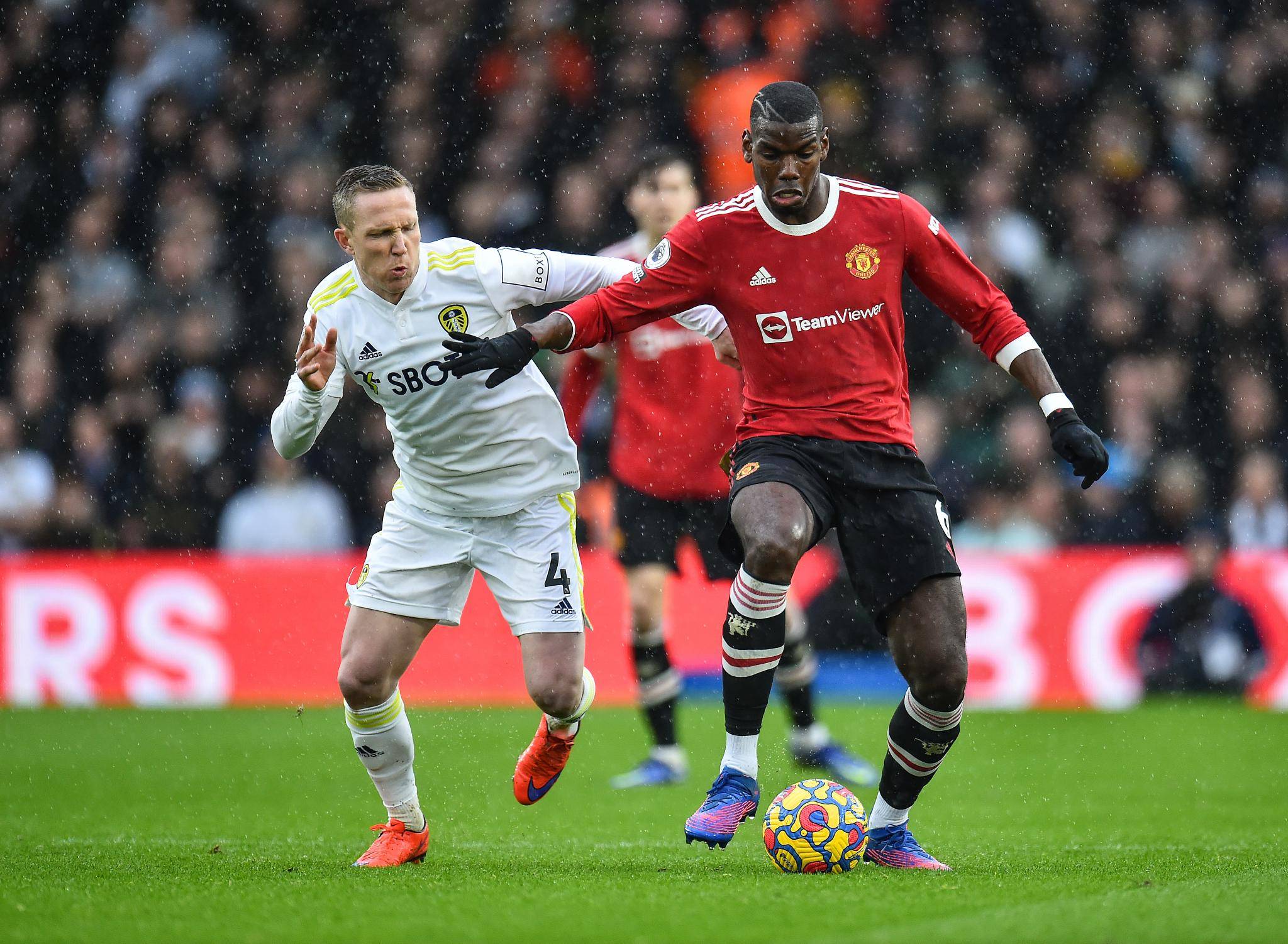 格偏向稳健 格偏向稳健